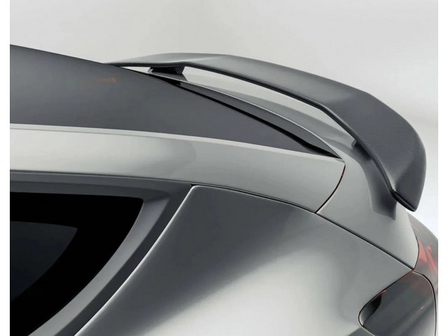 Tesla Model Y Спойлер карбон REVOZPORT