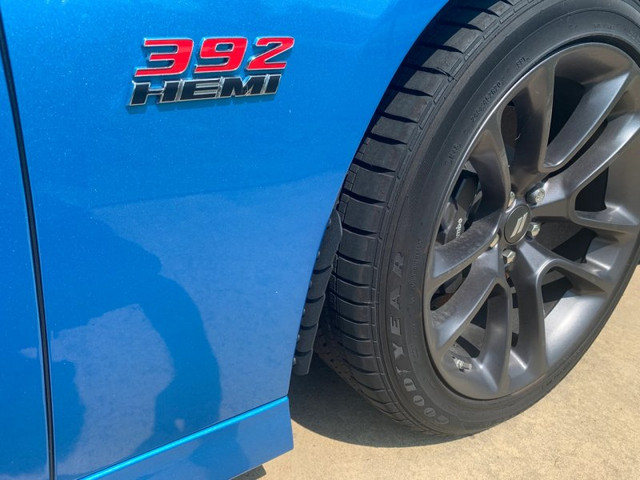 Dodge Charger 2015–2023 Брызговики передние, 1FastGuard