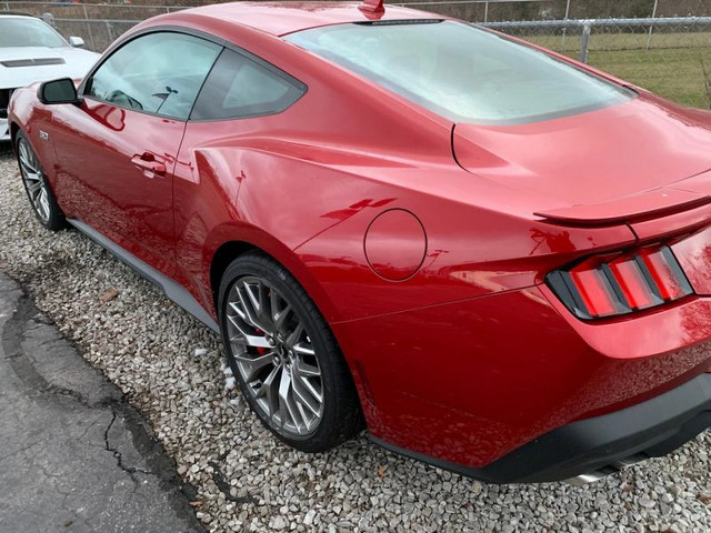 Ford Mustang S650 2024–2026 Брызговики передние, 1FastGuard